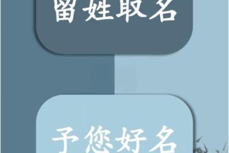 从润到兴：打造具有深厚文化底蕴的公司名字