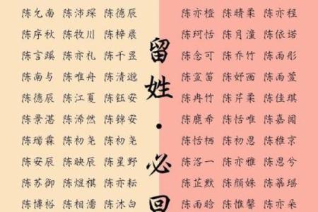 陈姓男孩起名的传统与现代趋势