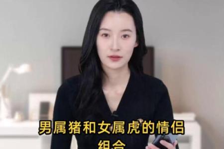 属虎与属猪的缘分解析 是否天作之合？