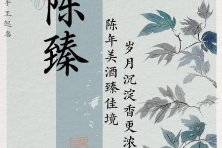 陈起名字的起源与历史背景