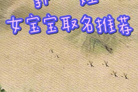 郭姓女宝宝名字大全：寓意美好且富有个性
