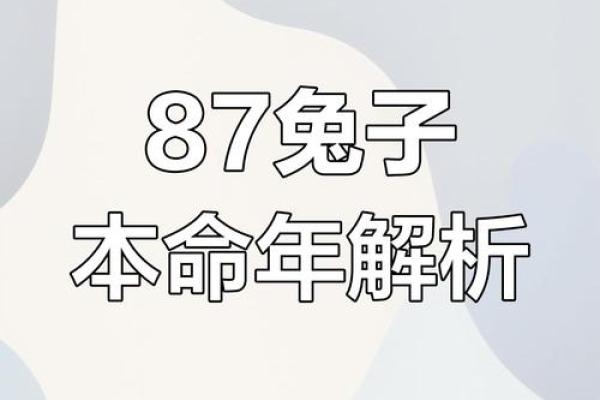 本命年兔男如何处理职场中的复杂关系
