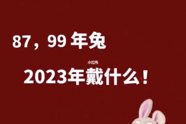 本命年兔男如何处理职场中的复杂关系