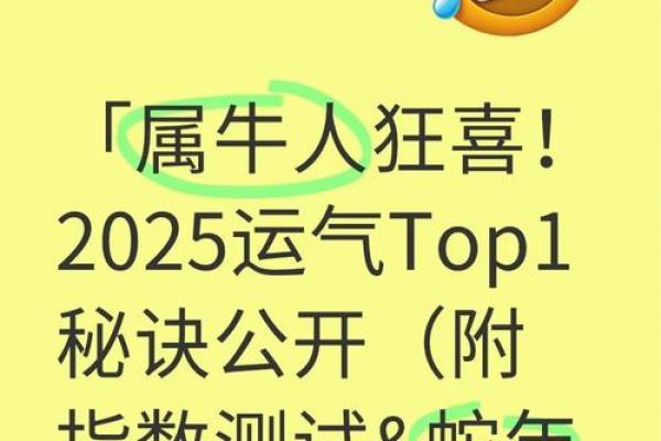 年运程：属牛人每月运势逐月解析