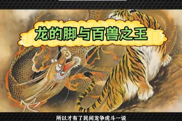 龙虎相配的深层意义与文化象征 龙虎相配的深层意义与文化象征