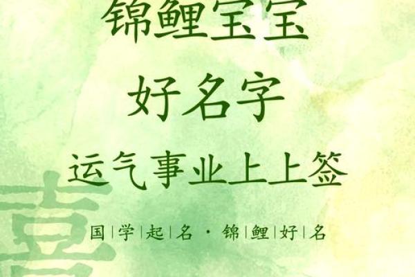 免费命名服务，帮你为宝宝挑选最美名字