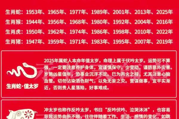 运势解析：运势起伏与应对策略