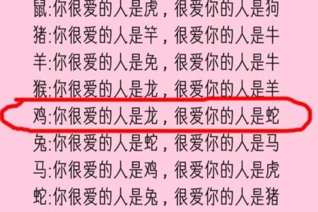 属羊与属狗的爱情契合度分析
