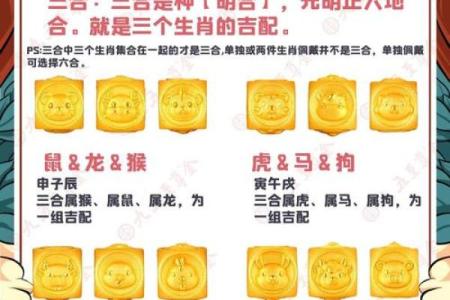 鼠兔相配 生肖合缘的生活秘诀