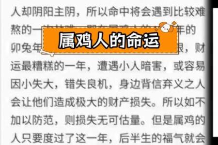 出生的人属什么命 解读属鸡人的命运特点