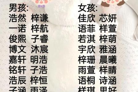 免费命名服务，帮你为宝宝挑选最美名字