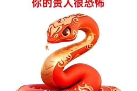 生肖蛇的财运运程：财富增长的潜力与风险
