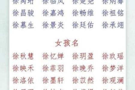 给姓徐的宝宝起名字的五个独特建议