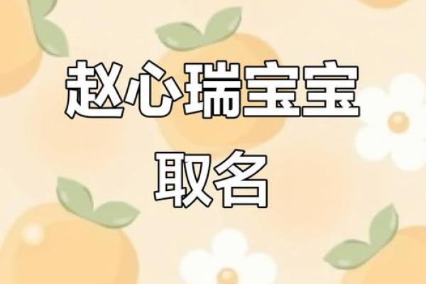 免费宝宝起名测试：为您的宝宝选择完美的名字