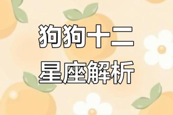 男狗男女狗鸡女婚鸡姻配对分析：星的座与性格的影响