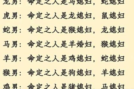 蛇女与马男的星座兼容性探讨，是否能携手共度一生