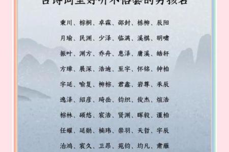宝宝名字大全：灵感与创意来源