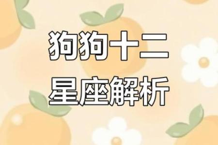 男狗男女狗鸡女婚鸡姻配对分析：星的座与性格的影响