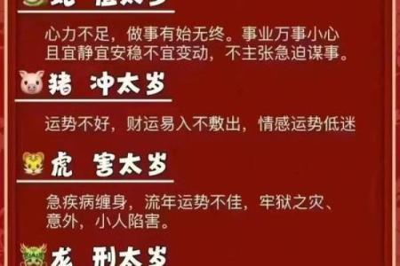今日运势大揭秘：不同生肖的运程走势