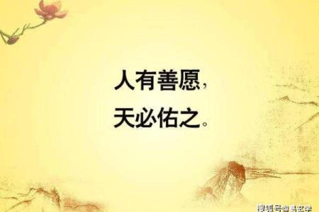 从命理角度解读蝴蝶双飞命的幸运与挑战