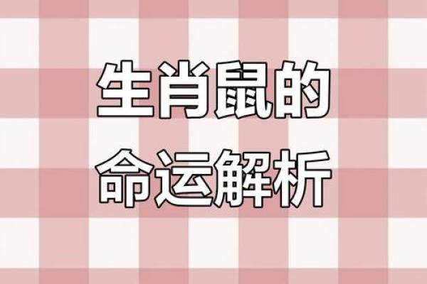 鼠年每月运程详解，助你规划全年运势