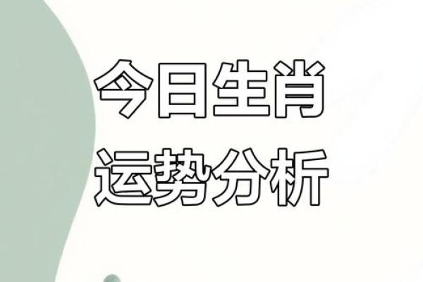 2023年必看老皇历：运势详解，吉祥物推荐