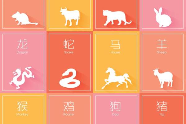 十二生肖运势全解析：每个生肖的运程如何？