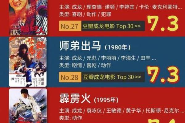 成龙的电影世界：跨越文化与语言的武侠魅力