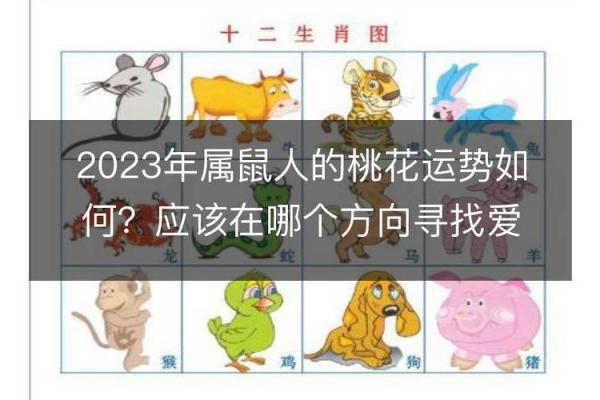 生肖运势变化，哪些生肖迎来财运和爱情