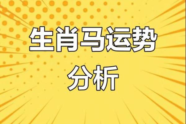 属马每月运势解析，掌握全年运程变化