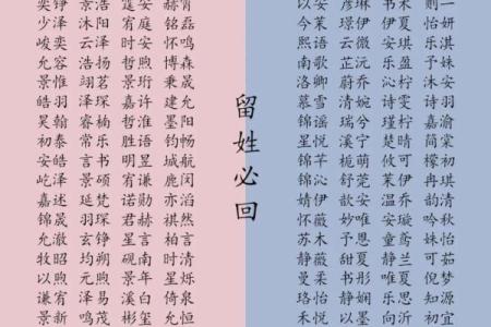 宝宝男孩名字大全：寓意与来源解析