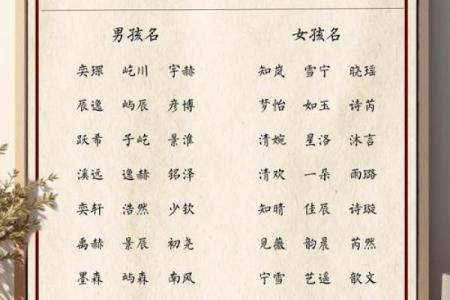 宝宝名字的选择对未来人生的深远影响