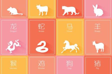 十二生肖运势全解析：每个生肖的运程如何？