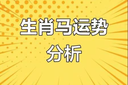 属马每月运势解析，掌握全年运程变化