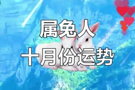 生肖运程揭秘：十月好运与挑战一览