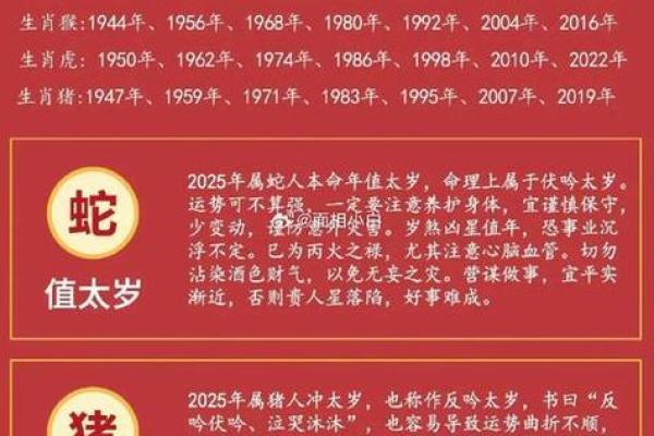生肖运势全解析：每个生肖的运程变化与发展