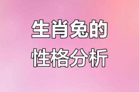 出生的命运解析：属兔人的独特人生轨迹