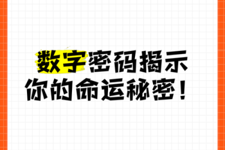 从命运：数字与人生的神秘关联