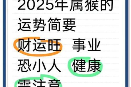 属猴人每月运势变化指南