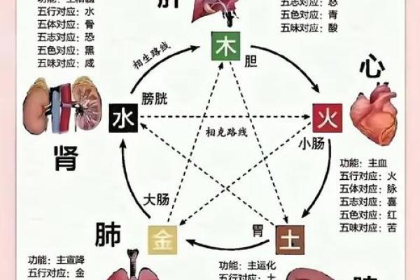 从五行角度分析火命与水命的性格特点 从五行角度分析火命与水命的性格特点