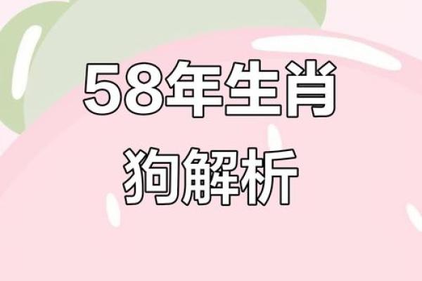 属狗人的整体运势分析与建议 属狗人的整体运势分析与建议