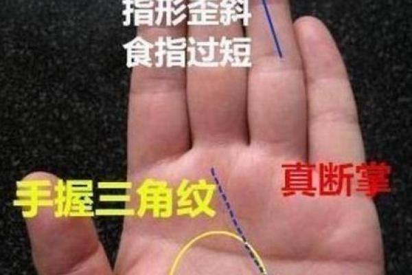 从命理看掌权命:如何解读领导者的命运之道 从命理看掌权命:如何解读领导者的命运之道