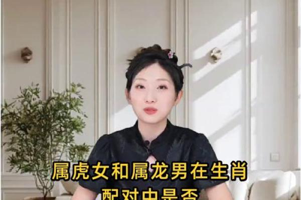 属相配对:和是否能相互契合 属相配对:和是否能相互契合