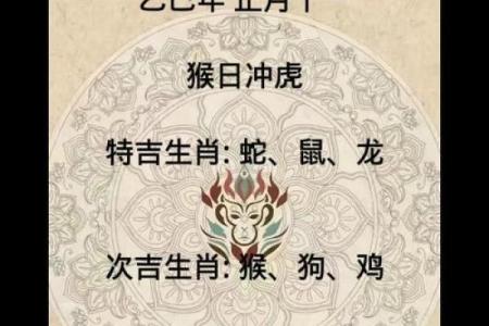生肖运程全面解析，十二生肖的命运起伏