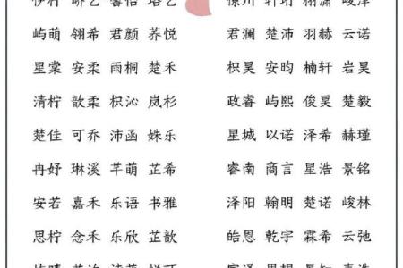 宝宝名字中带书字寓意深远，选择有文化底蕴的名字为未来铺路