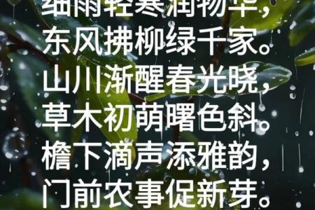 雨诗：一场雨水与文字的美丽邂逅