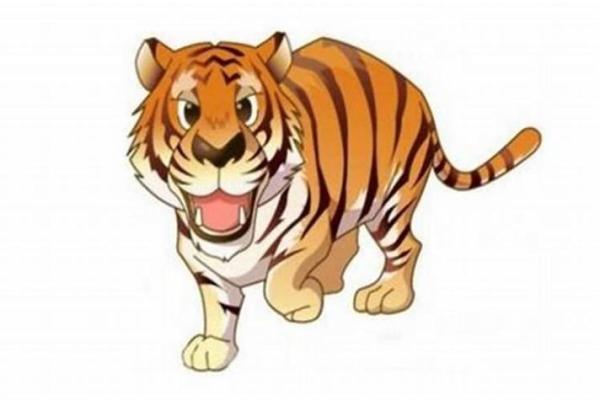 本命年虎男的家庭运势发展如何 本命年虎男的家庭运势发展如何