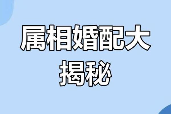 牛与鼠婚姻:性格互补还是生活冲突 牛与鼠婚姻:性格互补还是生活冲突