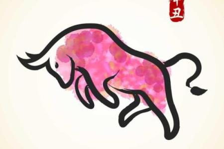 本命年虎男的家庭运势发展如何