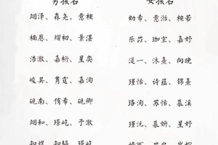 宝宝名字大全杜：为您的宝贝挑选独特又有意义的名字